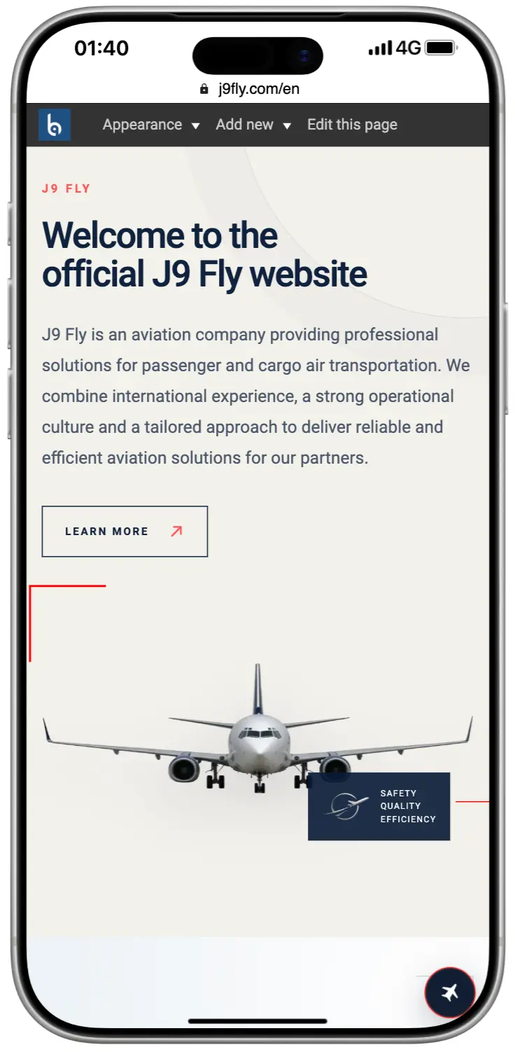 Mobile interface 1