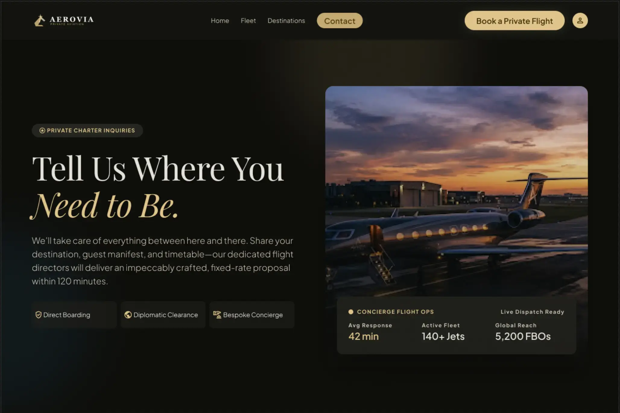 aviation website
