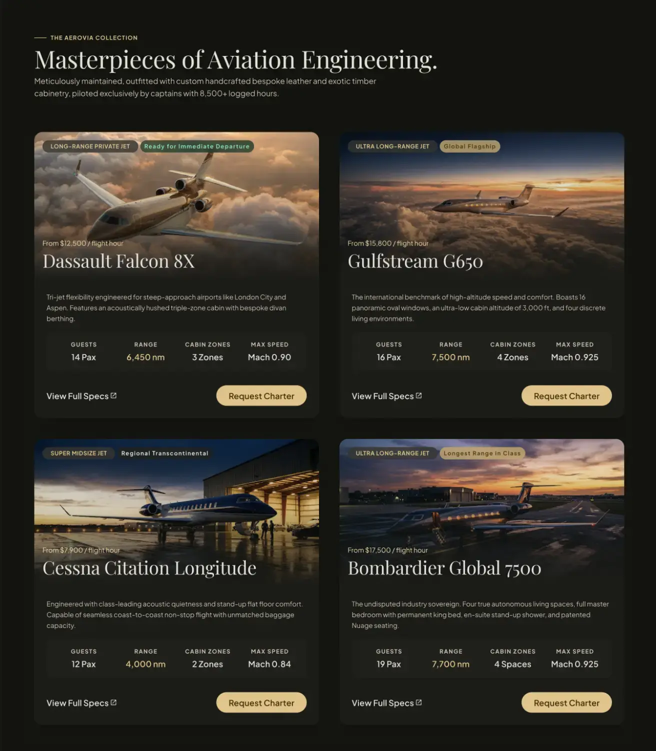 Conversion paths aviation website